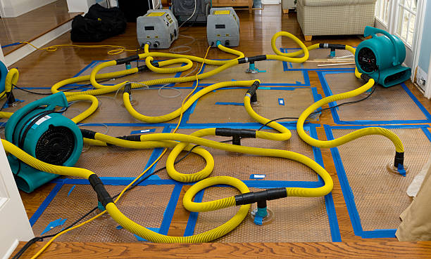 Professional Sewage Cleanup technician working in Afton, WI